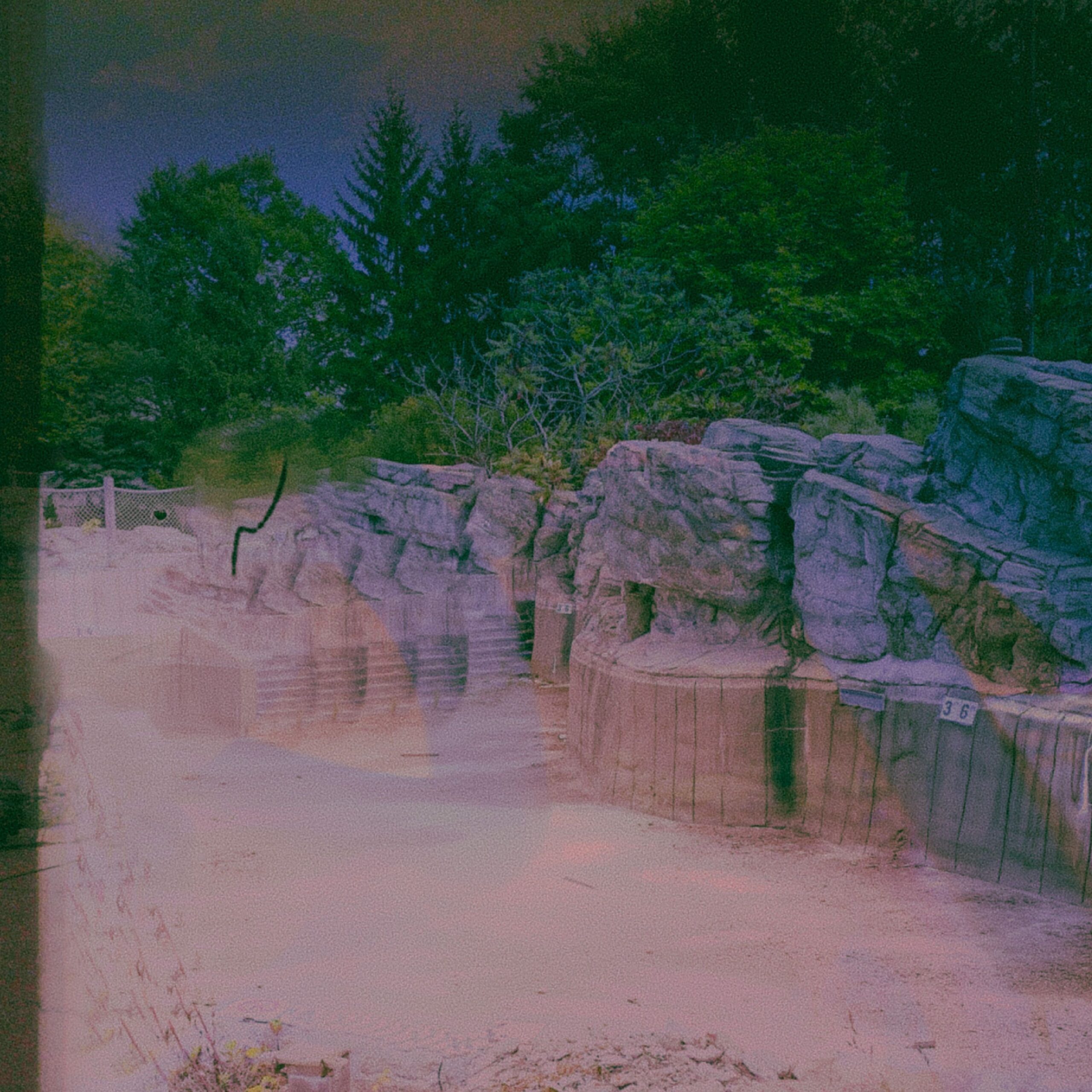 Shepherd’s Tone (2019-)